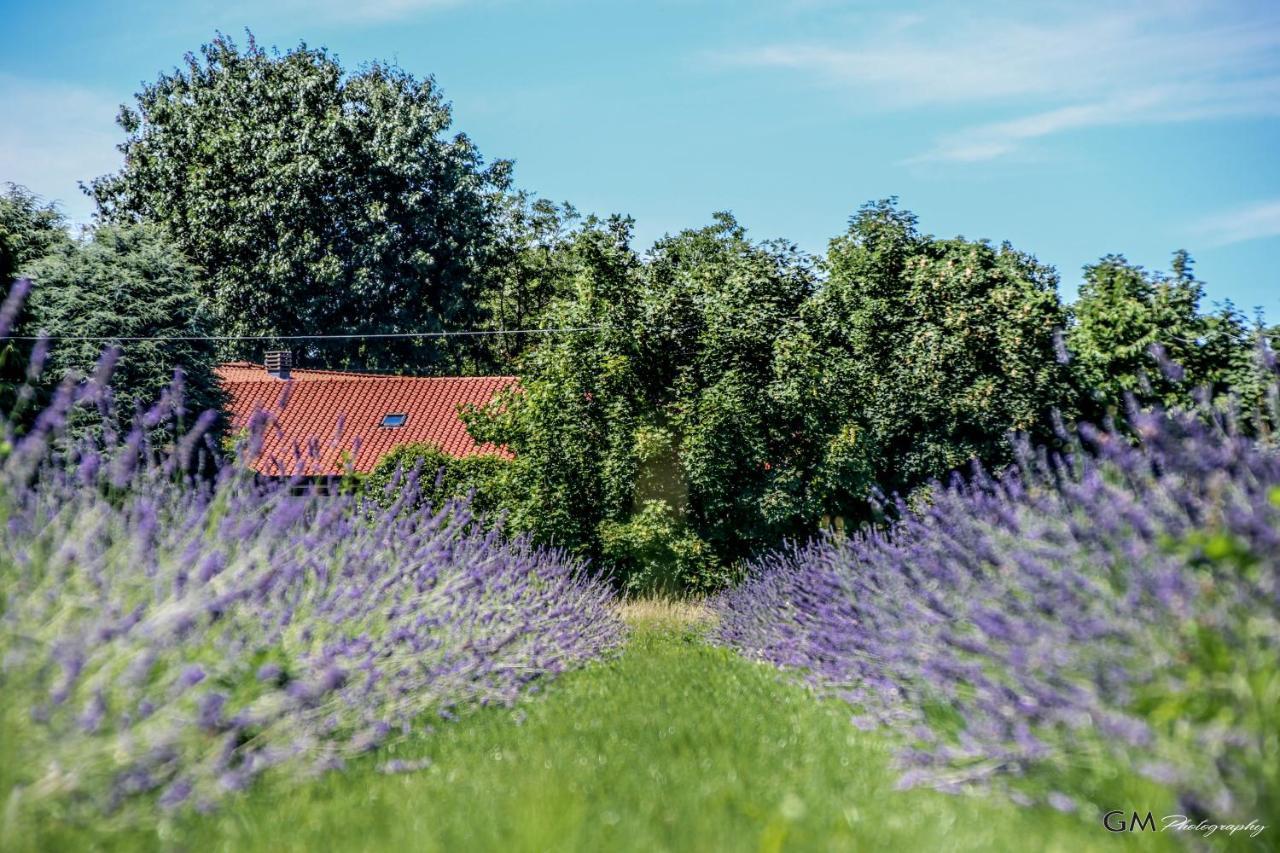 Azienda Agricola La Macina Bregnano Екстериор снимка